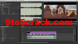 adobe cs5 mac torrent