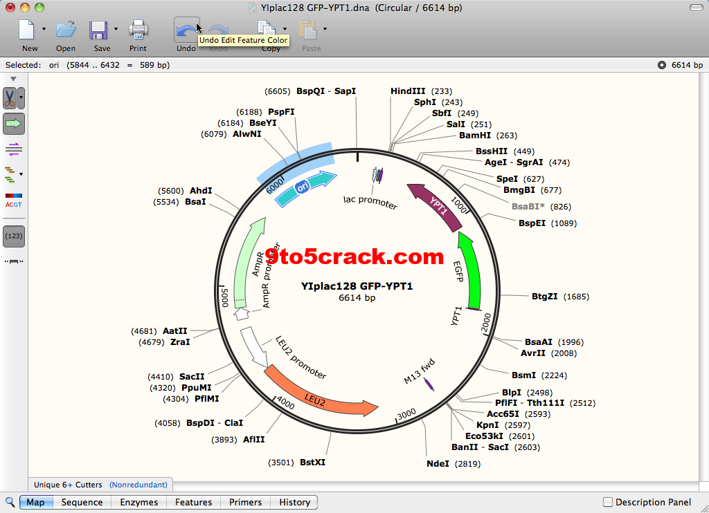 snapgene mac torrent