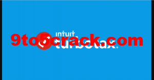 TurboTax 2020 Crack Self-Employed + Deluxe Torrent 2021